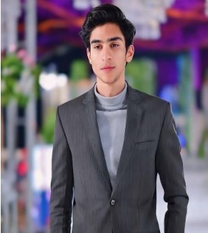 Mr. Hanan Butt